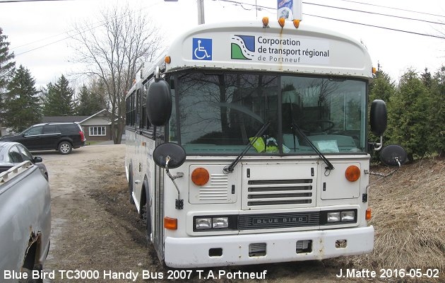 BUS/AUTOBUS: Blue Bird TC3000 Handibus  2007 TAPortneuf