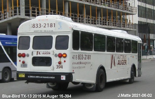 BUS/AUTOBUS: Blue Bird TX-13 2015 M.Auger