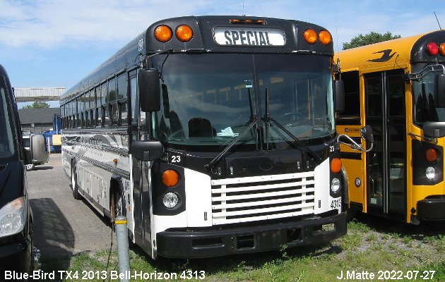 BUS/AUTOBUS: Blue Bird TX4 2013 Bell-Horizon