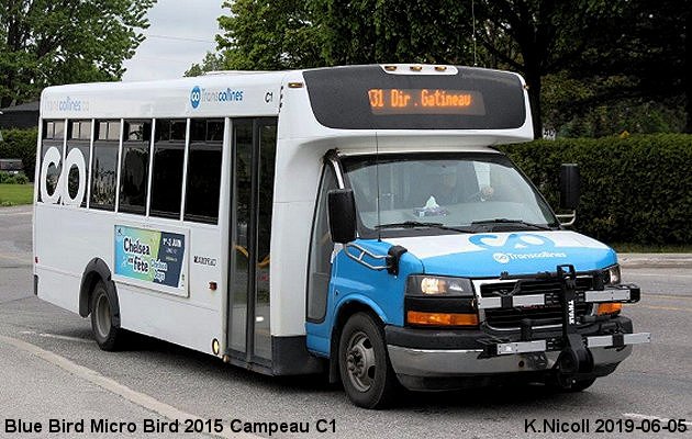 BUS/AUTOBUS: Blue Bird MicroBird 2015 Campeau