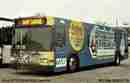 pics/dart516_small.jpg