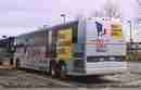 pics/election2003liba_small.jpg
