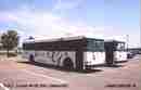 pics/gall501_small.jpg