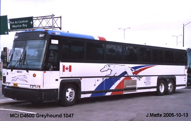 BUS/AUTOBUS: MCI D4500 1999 Greyhound