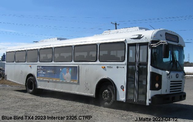 BUS/AUTOBUS: Blue Bird TX4 2023 Intercar