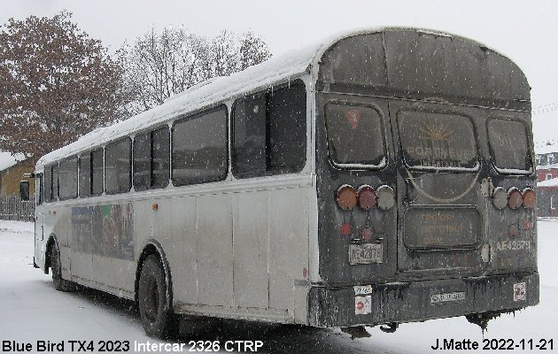 BUS/AUTOBUS: Blue Bird TX4 2023 Intercar