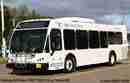 pics/kings-transit65_small.jpg