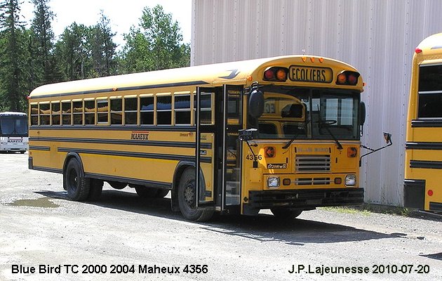 BUS/AUTOBUS: Blue Bird TC2000 2004 Maheux
