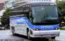 pics/orle6258b_small.jpg