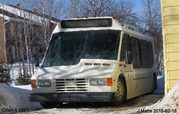 BUS/AUTOBUS: Orion II 1991 Prive