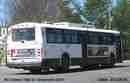 pics/stsher42101a_small.jpg