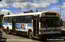 pics/stsher47103_small.jpg
