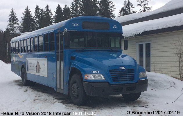 BUS/AUTOBUS: Blue Bird Vision 2018 TCJC